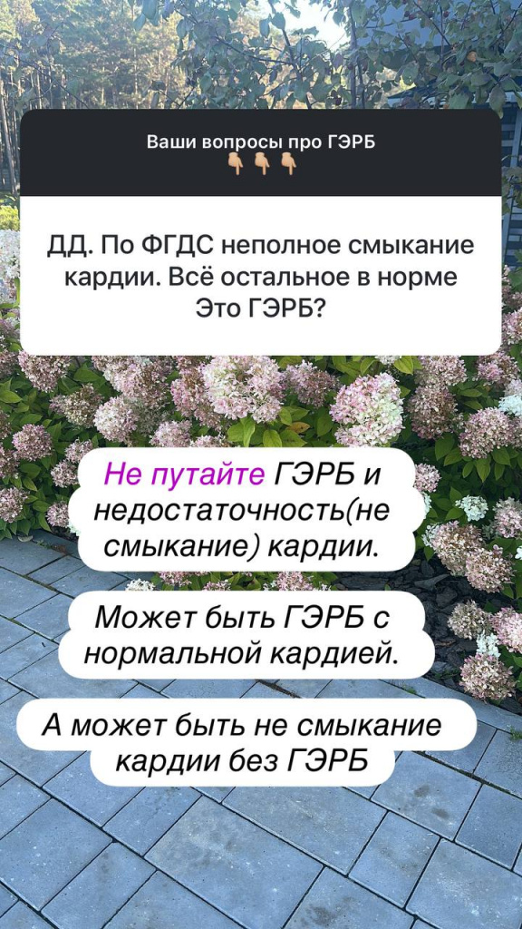 photo_2025-09-04 14.26.29.jpeg photo_2025-09-04 14.26.29.jpeg