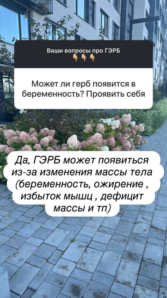 photo_2025-09-04 14.26.30.jpeg photo_2025-09-04 14.26.30.jpeg